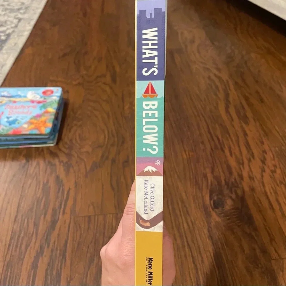 What’s Below Pop Up Book